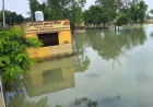 कायमगंज की तराई पर गंगा की बाढ़ का हमला, सिनौली समेत कई गांव जलमग्न; स्कूल, सचिवालय डूबे