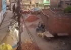न्यायालय ने थाना प्रभारी समेत छह लोगों पर एफआईआर दर्ज करने के दिए निर्देश