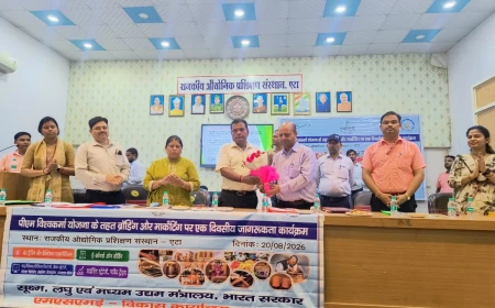 नवोदय विद्यालय एटा में रोजगार शिविर: छात्रों के लिए करियर मार्गदर्शन