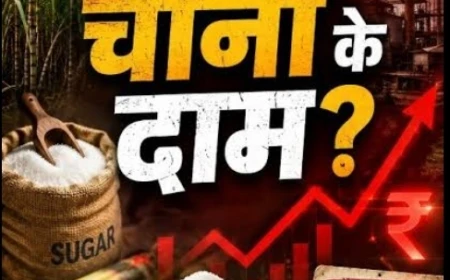 चीनी की मिठास पर महंगाई की कड़वाहट, आखिर क्यों बढ़ रहे हैं इसके दाम?