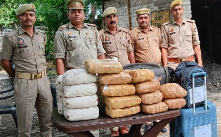 फतेहगढ़ पुलिस का ऑपरेशन दहन: 64 किलो से अधिक गांजा नष्ट
