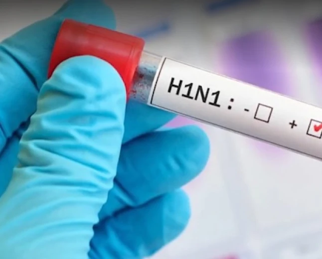 दिल्ली-NCR में H1N1 वायरस के मामले अचानक बढ़े, कई डॉक्टर्स संक्रमित; 1 दिन में सैकड़ों संक्रमित बड़े