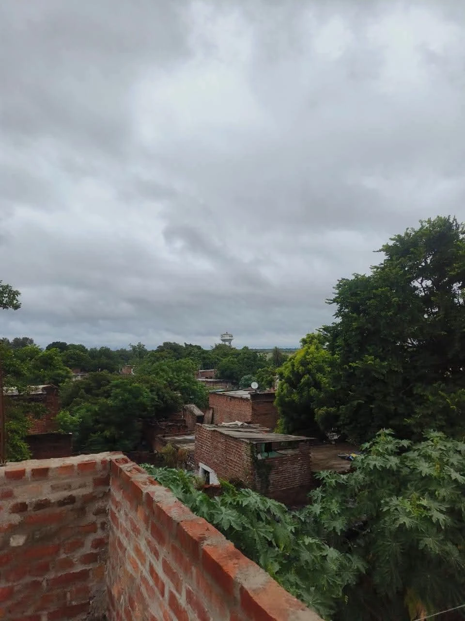 फर्रुखाबाद में झमाझम बारिश से गर्मी से राहत, धान की फसल को मिली संजीवनी