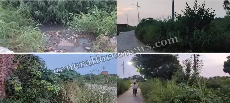 कायमगंज: नाले की बदहाली से बढ़ रहा बीमारियों और खतरों का साया