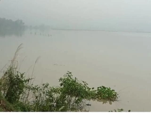 रामगंगा फिर उफनी, खतरे के निशान से महज पांच सेंटीमीटर नीचे
