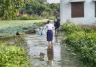 बाढ़ और बारिश से फर्रुखाबाद में किसानों की बढ़ी मुसीबतें