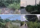 कायमगंज: नाले की बदहाली से बढ़ रहा बीमारियों और खतरों का साया