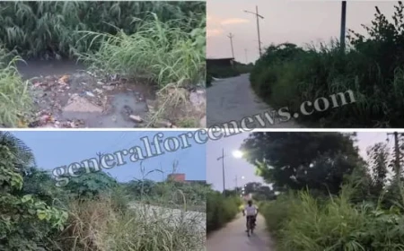 कायमगंज: नाले की बदहाली से बढ़ रहा बीमारियों और खतरों का साया