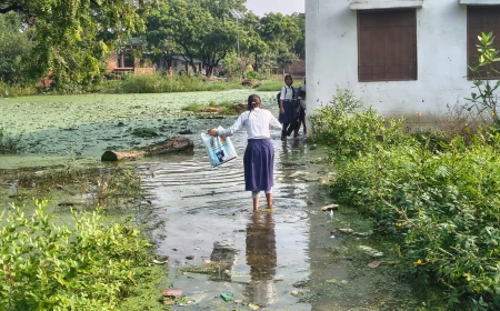 बाढ़ और बारिश से फर्रुखाबाद में किसानों की बढ़ी मुसीबतें