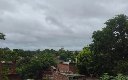 फर्रुखाबाद में झमाझम बारिश से गर्मी से राहत, धान की फसल को मिली संजीवनी
