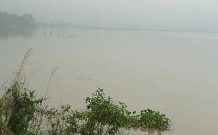 रामगंगा फिर उफनी, खतरे के निशान से महज पांच सेंटीमीटर नीचे